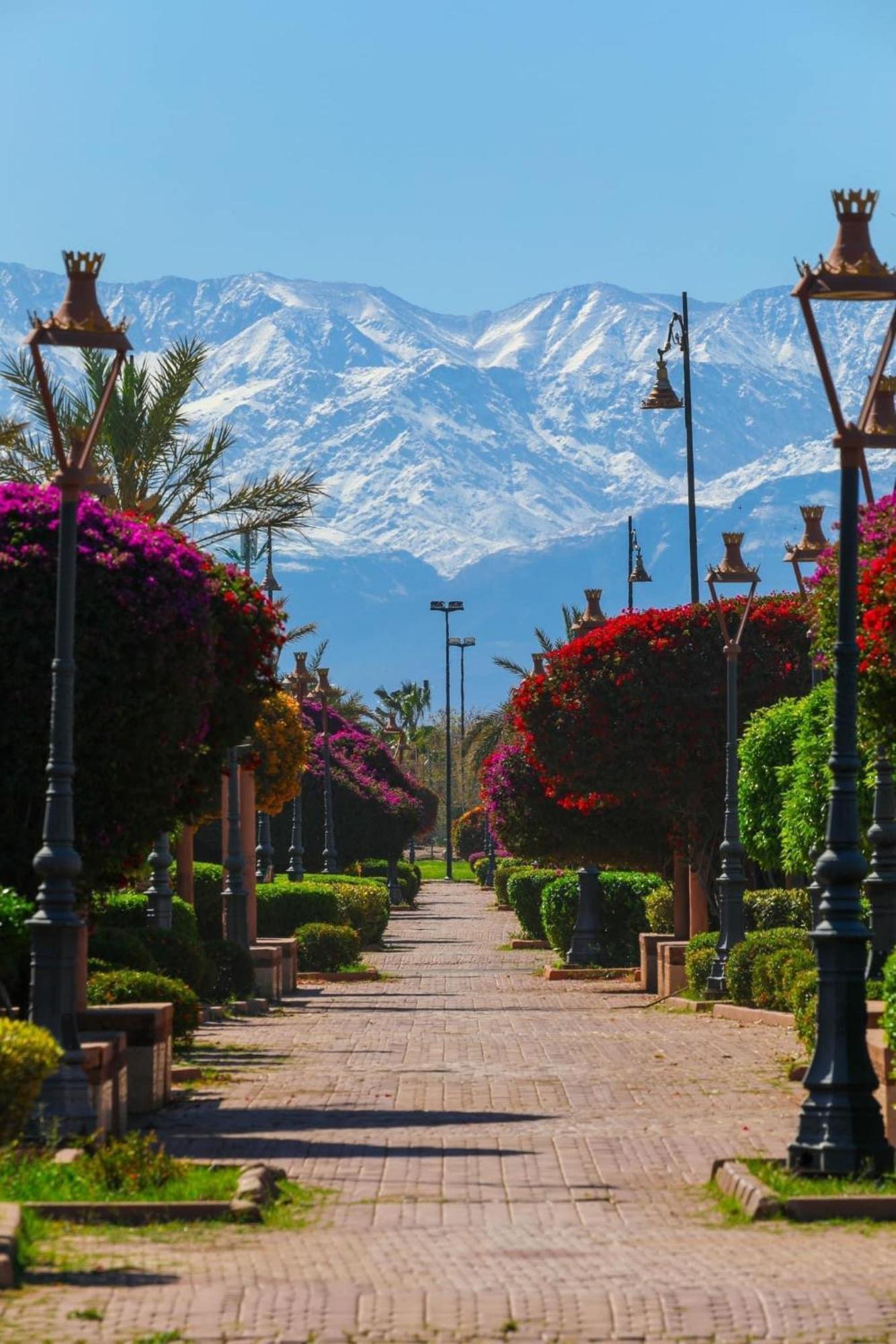 Riad Majestic Marrakech Marrakesh Exterior photo